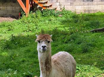 Tour Wandern Meaux - Le chemin de St Colomban en Ile de France Etape 3 Jouarre Meaux - Photo