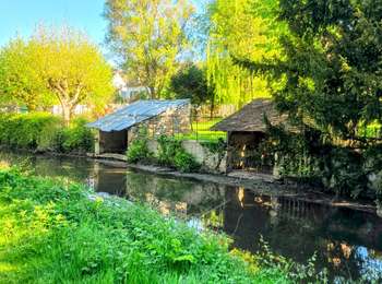 Tour Wandern Dourdan - Boucle autour de Dourdan IBP 69 - Photo