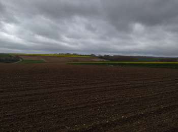 Randonnée Marche Pihem -  rando du Lion - Photo