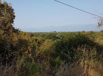 Percorso Marcia Tallone - marche RANDO  - Photo