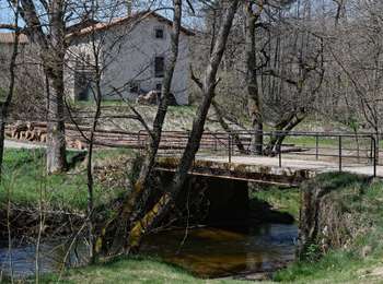 Percorso A piedi Saillant - Le Creux-de-l'Oulette - Photo