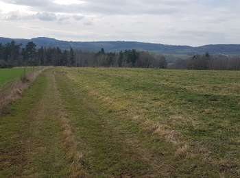 Percorso Marcia Saint-Pierre-le-Chastel - bannieres - Photo