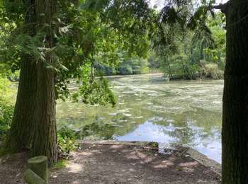 Randonnée Marche Beersel - Dworp/Sept-Fontaines/Colipain/bois de Halle/Dworp - Photo