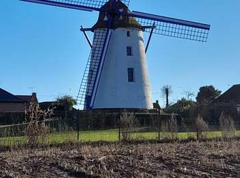 Trail Walking Estaimpuis - Leurs et alentours  - Photo