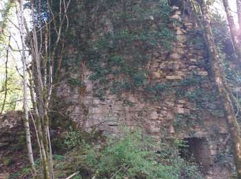 Trail Walking Charnay - Charnay .. lcheikh - Photo