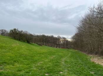 Tocht sport Itter - Ittre entre campagne, canal et pinède  - Photo