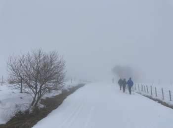 Percorso Racchette da neve Besse-et-Saint-Anastaise - Lac pavin pealat  - Photo