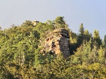 Trail Walking Lembach - Les 3 châteaux - Photo