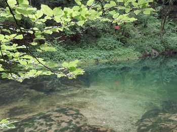 Trail Walking Conte - Source de l'Ain - Photo
