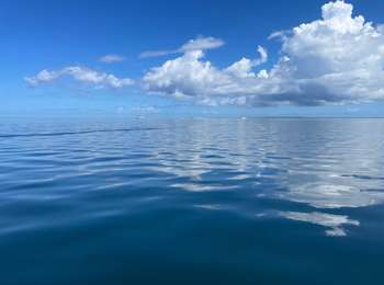 Trail Motorboat Pointe-à-Pitre - Cul de sac marin - Photo