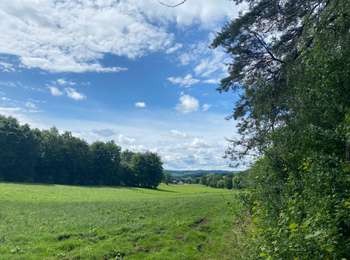 Trail Walking Burg-Reuland - Gruffligen - Photo