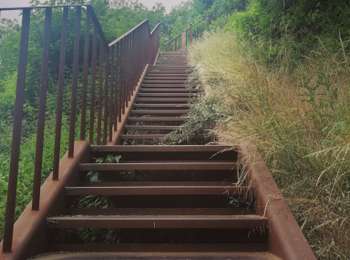 Trail Walking Liège - Les coteaux de la Citadelle   - Photo
