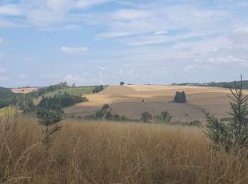 Tour Wandern Feitweiler - rando wisembach 18-08-2022 - Photo