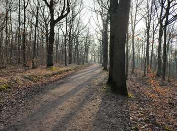 Randonnée Marche Viroflay - Par les sentes de Chaville, Sèvres et Ville D'Avray - Photo