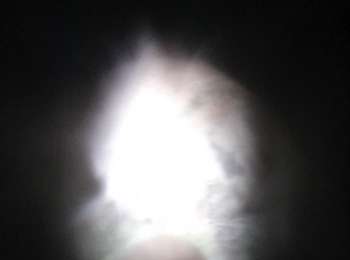 Trail Road bike Pietracorbara - tegime - Photo