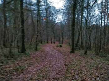 Percorso Mountainbike Virton - T2022-12-23-18-01 - Photo