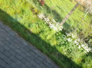 Tour Camping-Wagen Marche-en-Famenne - Mesurage 9416 - Photo