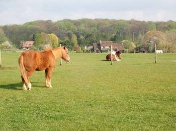 Tour Wandern Linkebeek - Promenade 3: Par champs et prés - Photo
