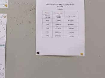 Trail Walking Mont-de-l'Enclus - AMOUGIES _ [ MONT DE L'ENCLUS ] _ Marche Fédérale _ HT _ 20/03/2023 . - Photo