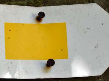 Trail Walking Theux - 20220717 - HUWAO La Reid - 7 Km - Photo