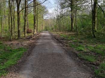 Trail Walking Mons - ballade bois du Rapois - Photo