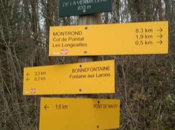 Trail Walking Crotenay - Besain Mirebel (IBP 61) 22 fév 2021 CAF - Photo