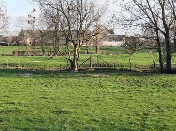 Tocht Stappen Villers-la-Ville - Boucle 2 du Camp (Marbais) – Golf de La Bruyère – Château de Cognée - Photo