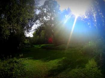 Tocht Mountainbike Villers-la-Ville - VTT de villers la Ville à Waterloo - Photo