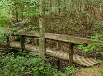 Percorso A piedi Bettembourg - Auto-Pédestre Abweiler - Photo