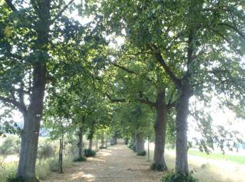Trail Walking Wellin - RB-Lu-25_Wellin_via-racc-1-et-var - Photo