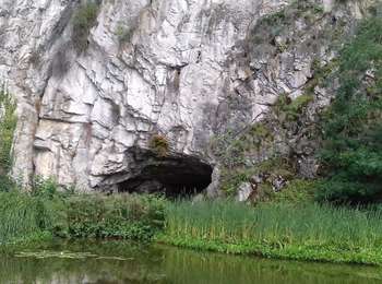 Percorso A piedi Durbuy - Chemin Touristique (20) - Photo