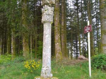 Trail Walking Saint-Bresson - st Bresson mai2022 - Photo