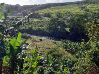 Trail Walking Le Lorrain - Boucle Vallon - Morne-Bois - Seguineau - Photo