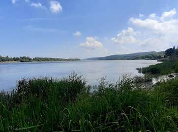 Tour Wandern Aizier - Vieux-Port, de la forêt aux rives de la Seine - Photo