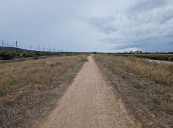 Trail Mountain bike Agde - Languedoc roussillon-trotinnette-cap d agde-reserve naturelle-33km - Photo