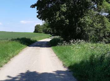 Percorso Marcia Saint-Ignat - LE VAL DE MORGE - Photo