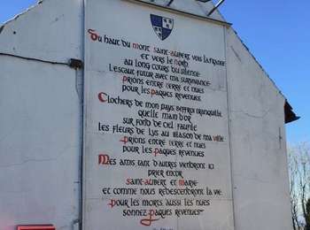 Trail Walking Pecq - Pecq - Mont Saint-Aubert - Obignies - Photo