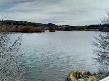 Percorso Marcia Aydat - Tour du lac d'Aydat - Photo