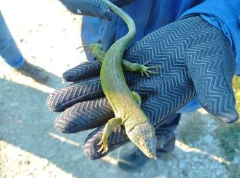 Trail Walking Chitry - AVF - CHITRY - 01-03-23 - Photo