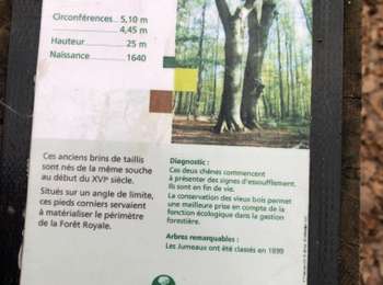 Percorso Marcia Saint-Bonnet-Tronçais - St Bonnet de Tronçais   - Photo