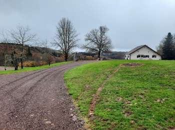 Trail Walking Ternuay-Melay-et-Saint-Hilaire - vosges 2025 prary - la mer - Photo