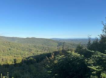 Trail Walking Ronchamp - La cabane des chasseurs  - Photo