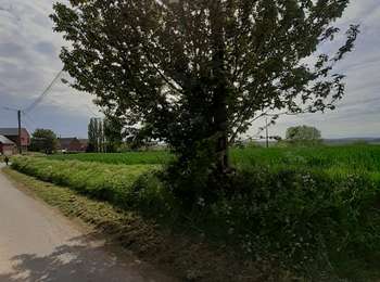 Trail On foot Soignies - balade du Pont Wazon  - Photo