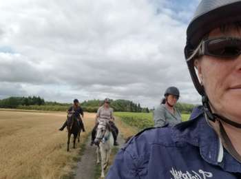 Trail Coupling Le Controis-en-Sologne - evasion 2019 faite - Photo