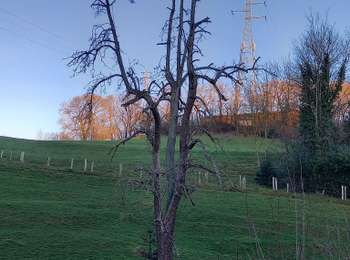 Trail Walking Liège - 2021-02-28_18h53m49_Boucle Bois-de-Breux les Houlpays - Photo