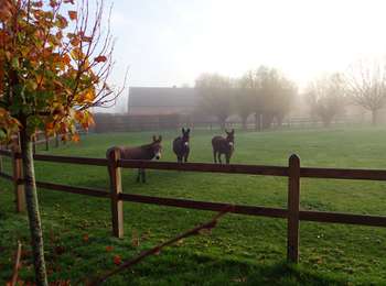 Tocht Stappen Ramillies - 201123 - Huppaye, Ste Barbe et Basse du Temple - Projet en cours - Photo