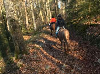 Trail Horseback riding Fougerolles-Saint-Valbert - Balade Le Sarcenot à pied 1h - Photo