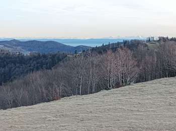 Trail Nordic walking Lepuix - Autour du Ballon d'Alsace - Photo