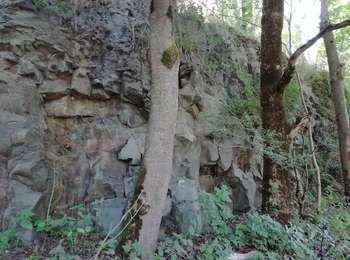 Percorso Marcia Saint-Bonnet-près-Orcival - 10274224-ST Bonnet d Orcival - Photo