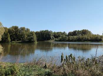Randonnée Marche Fondettes - Fondettes Île Quinquengrogne - la Loire Luynes - 12km 100m 3h25 (40mn) - 2025 09 19 - Photo